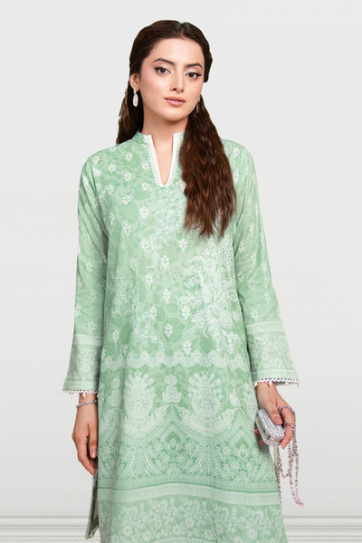 Printed - 2 Pc Cotton Viscose Suit